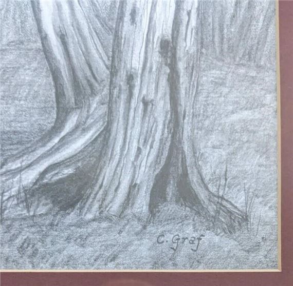 Christa Maria Johanna Theodora Graf | Riverview Zoo | MutualArt