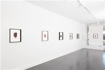 Sarah Enright: Flesh for Phantasy - Olsen Annexe