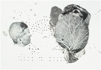 Bettina Hutschek & Raphael Vella: Random Chronicles - SCOTTY