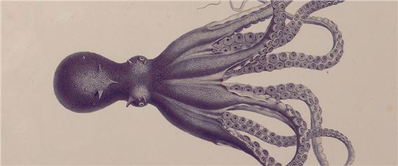 A Promised Land: From the Age of Enlightenment to the birth of photography - Museo Universidad de Navarra