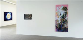 Natures - Galerie m