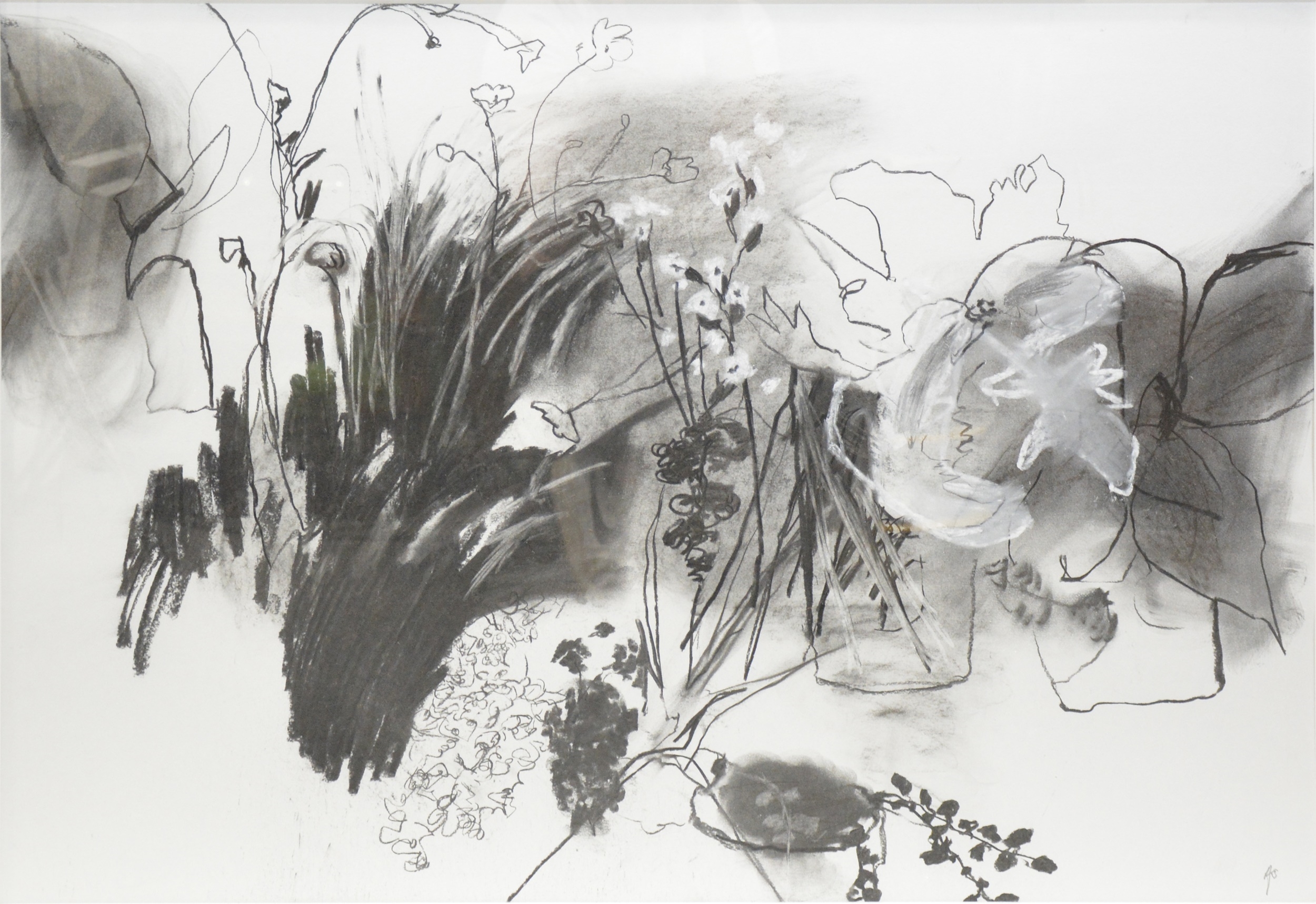 Artwork by Anthea Stilwell, Tulips II, Made of charcoal