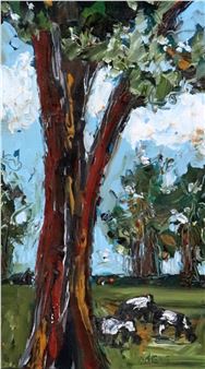 CATTLE GRAZING UNDER A BIG TREE - Meve