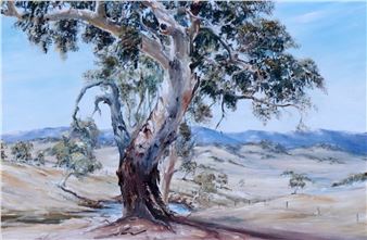 THE CAMPBELL PADDOCK - Barry Willcox