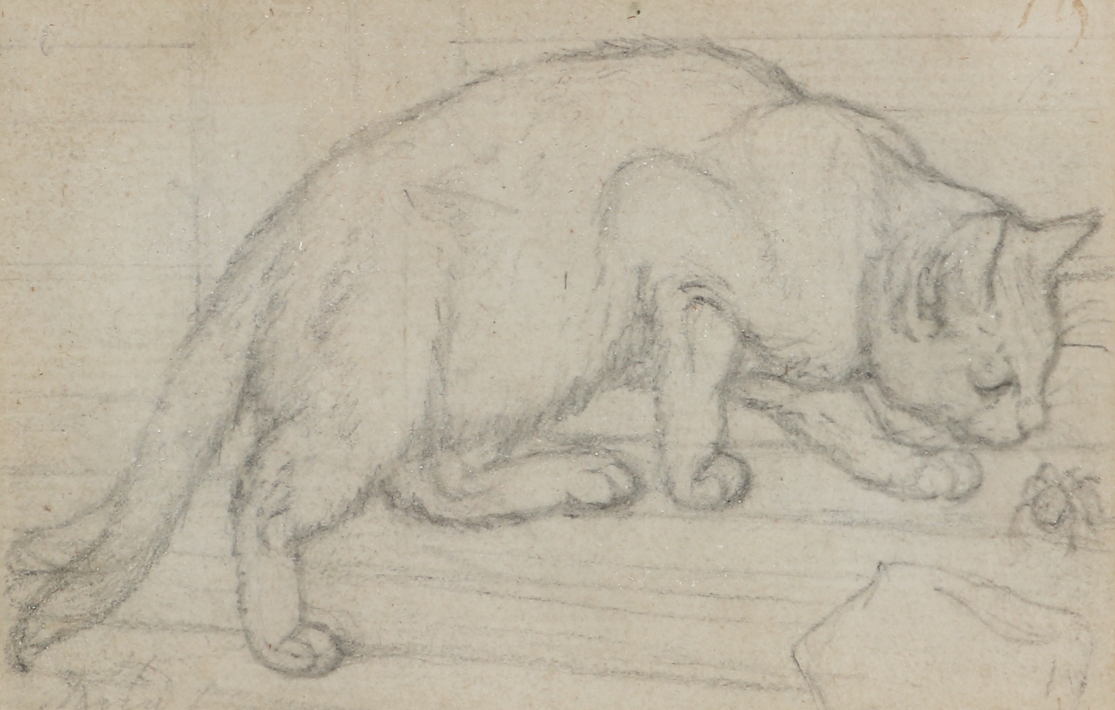 Artwork by Gottfried Mind, Liegende Katze, nach links, Made of Pencil, watercolor and string on paper mounted on panel