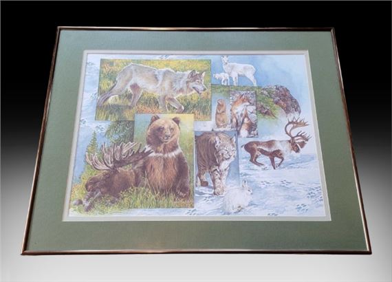 The Denali Web by Donna Gates