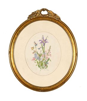 Wildflower Study - Barbara Pike