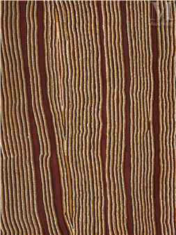 Sans titre - Johnny Gordon Downs Jangala