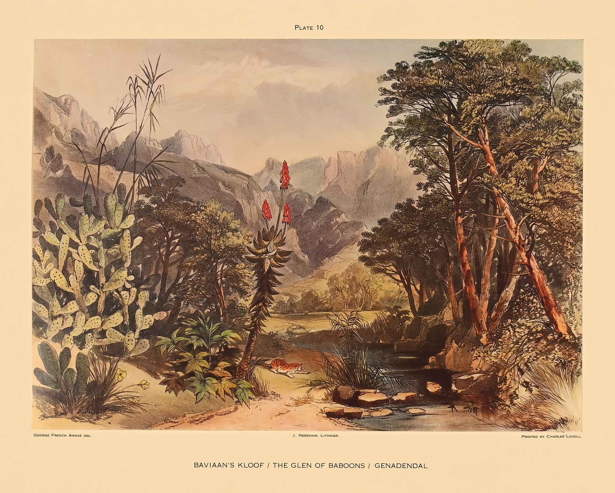 George French Angas | Baviaan's Kloof (The Glen of Baboon's) | MutualArt