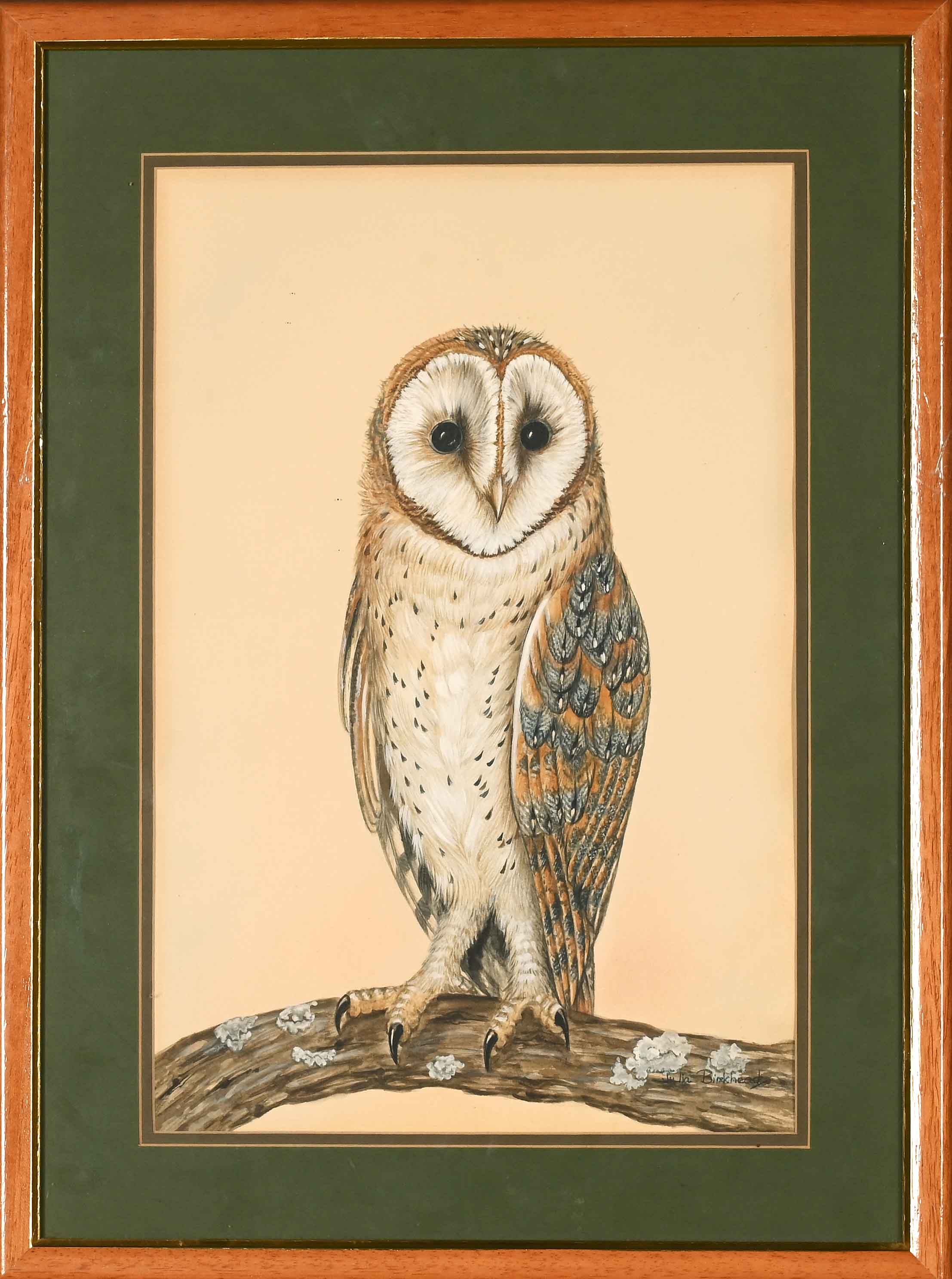 Artwork by Julia Birkhead, Four Avian Studies: Owls, Made of watercolour and gouache on paper