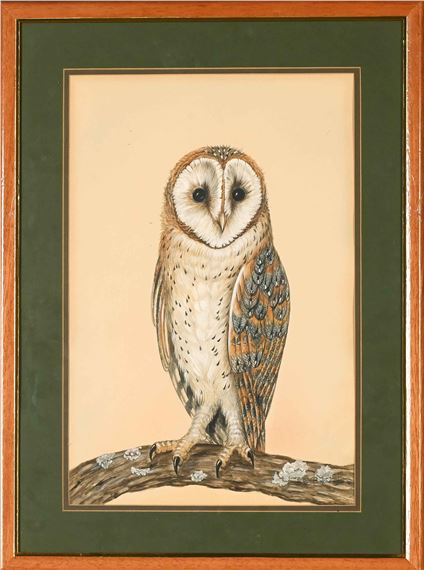 Four Avian Studies: Owls - Julia Birkhead