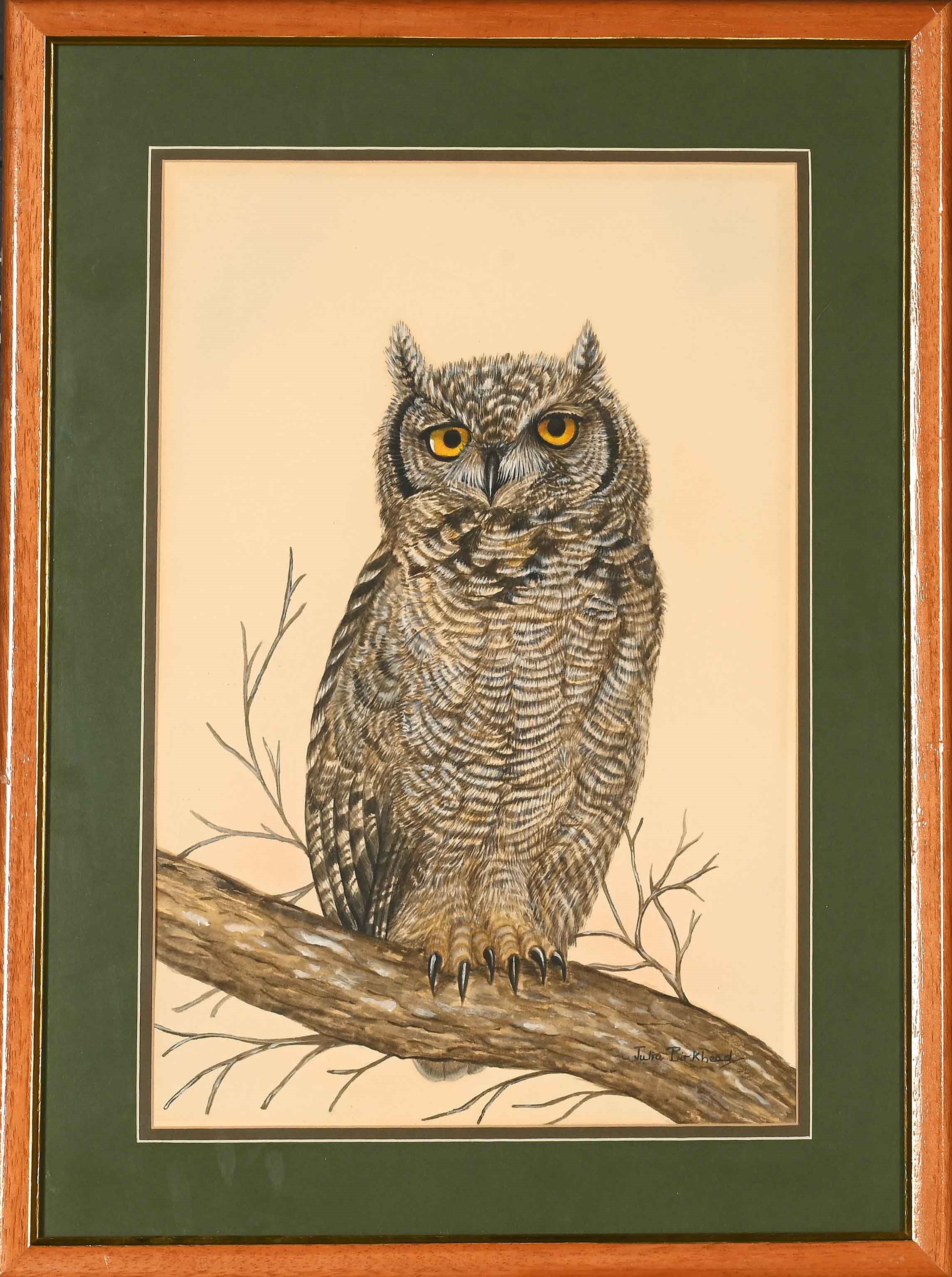 Artwork by Julia Birkhead, Four Avian Studies: Owls, Made of watercolour and gouache on paper