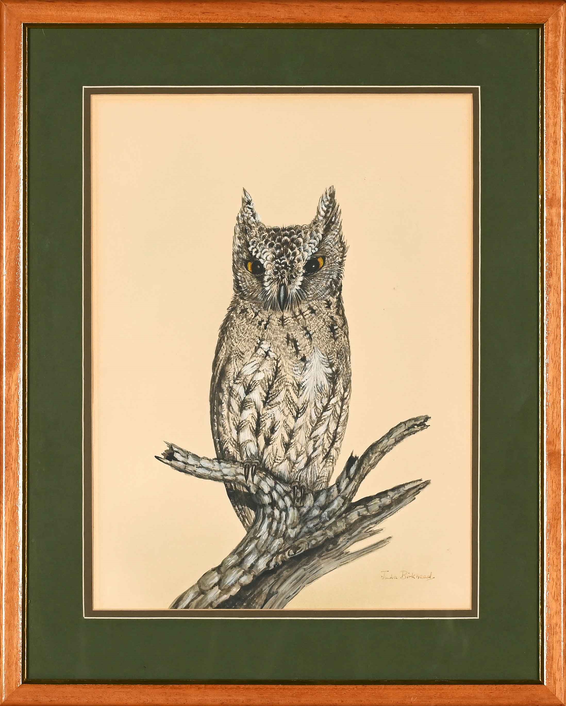 Artwork by Julia Birkhead, Four Avian Studies: Owls, Made of watercolour and gouache on paper