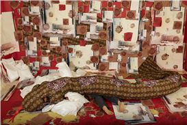 Sheida Soleimani's: Birds of Passage will be on view through first week in October at Denny Gallery