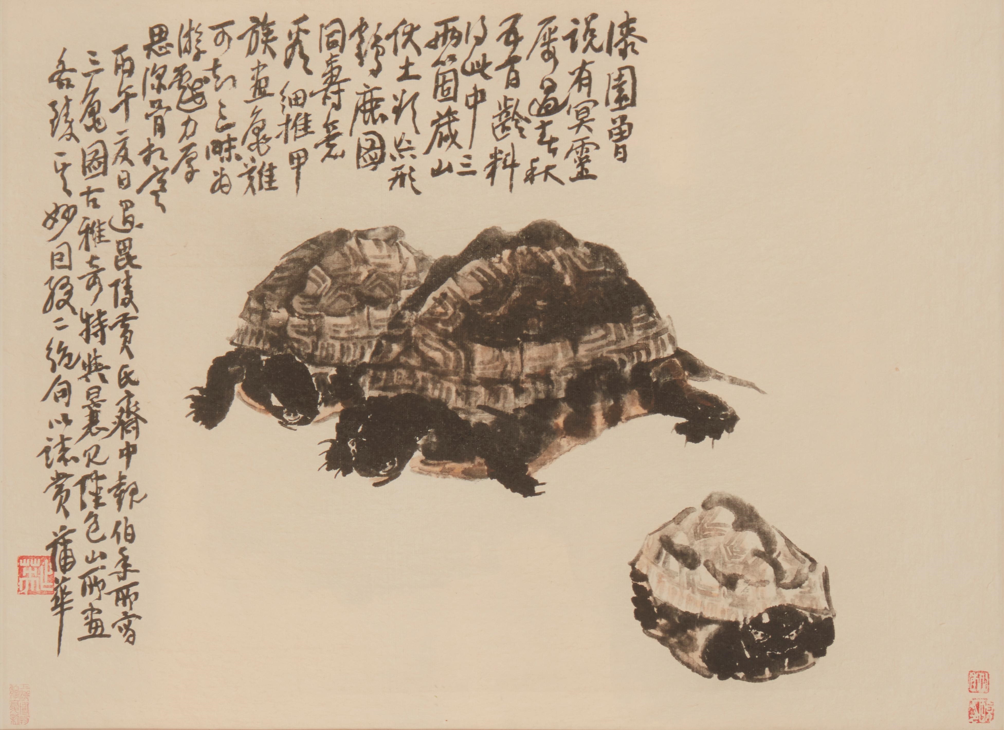 Chinese School, 20th Century | Three turtles | MutualArt