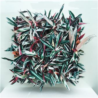 Volumes - K+Y Gallery