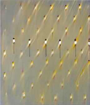 Untitled - Lukas Kramer