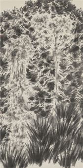 Thousands of Rocks and Gorges - Miao Zhuang