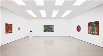 Julie Curtiss: Bitter Apples - White Cube, Hong Kong