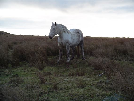 A Modern Universal - Tension Fine Art