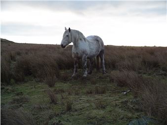 A Modern Universal - Tension Fine Art