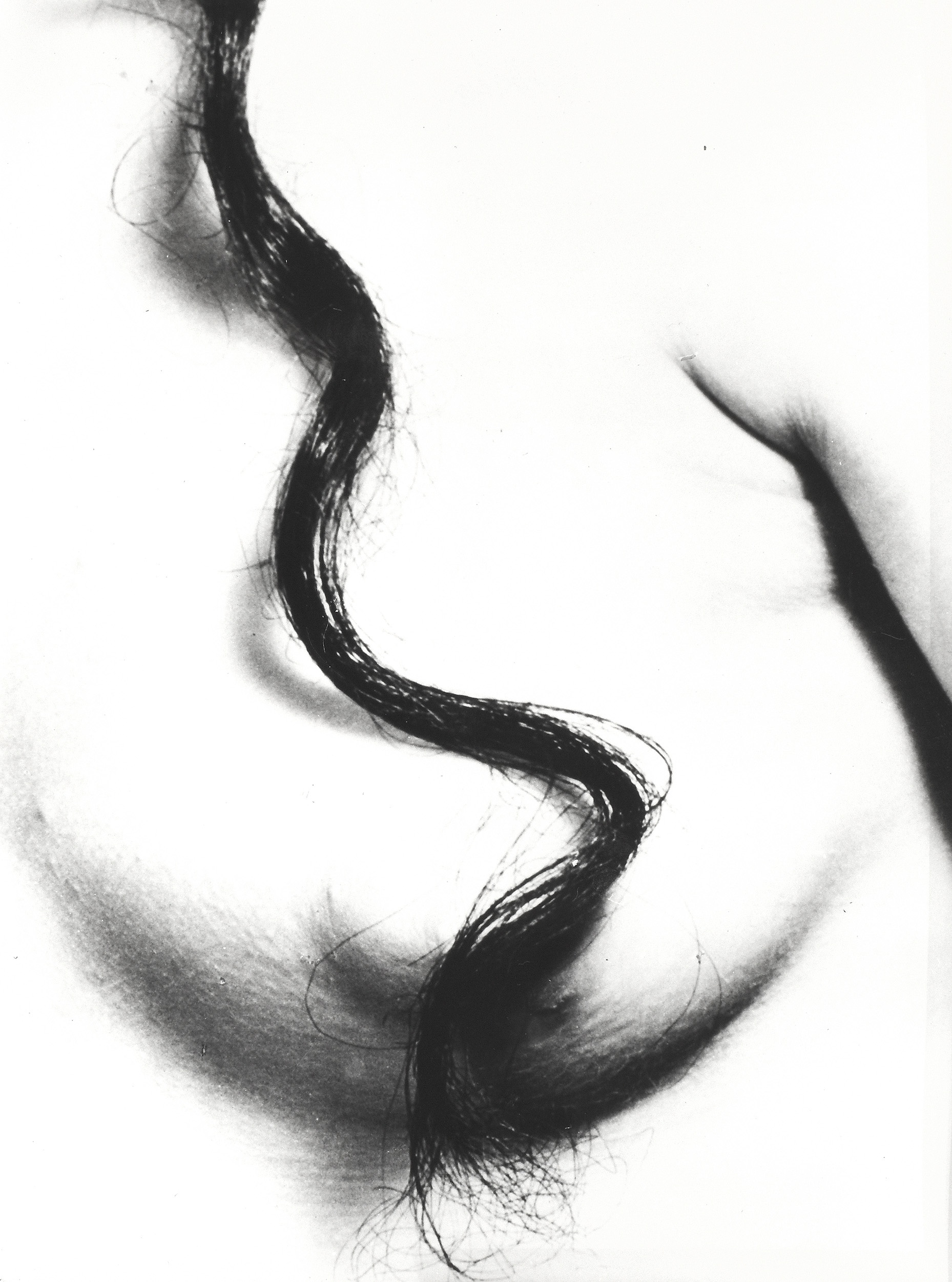 Artwork by Zdeněk Virt, Pramínek vlasů, Made of gelatin silver print