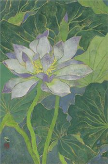 summer - Hajime Ogasawara