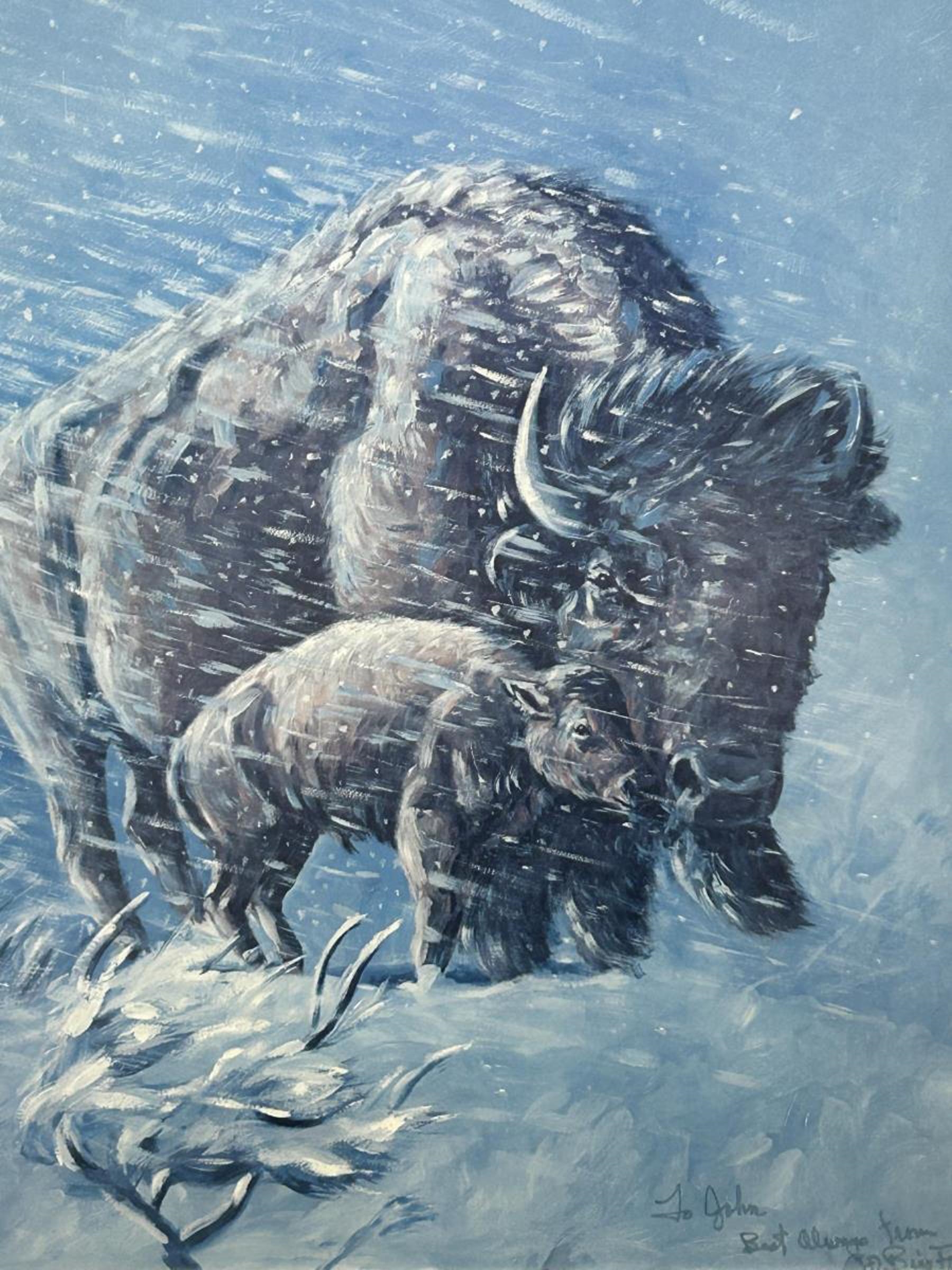 William Rains | Buffalo Print | MutualArt