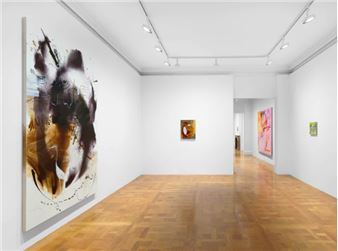 Emma McIntyre: An echo, a stain - David Zwirner, New York (69th Street)