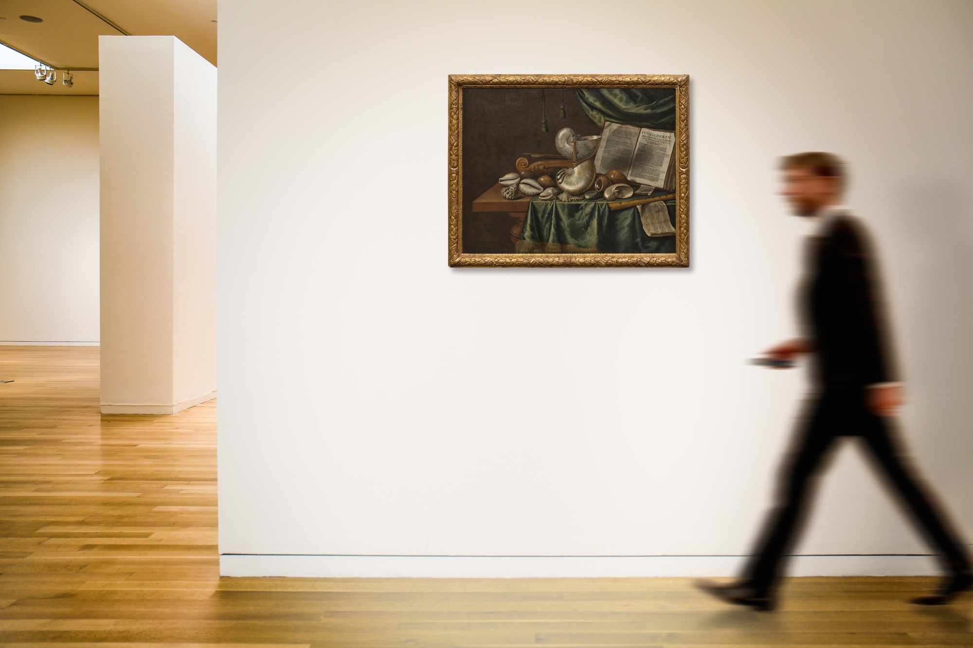 Edwaert Collier | Vanitas still life with assorted shells, musical ...