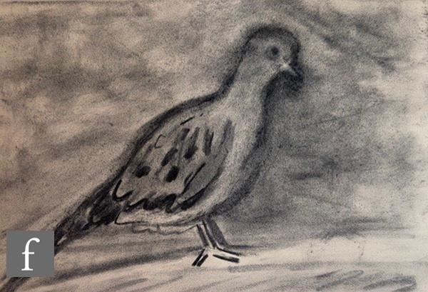 Artwork by Kayla Mohammadi, Dove, Made of Charcoal on paper