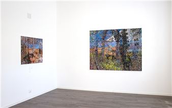 Masayuki Arai: Like Paintings - Primo Marella Gallery