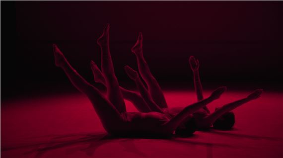 Software Upgrade - Gypsum Gallery