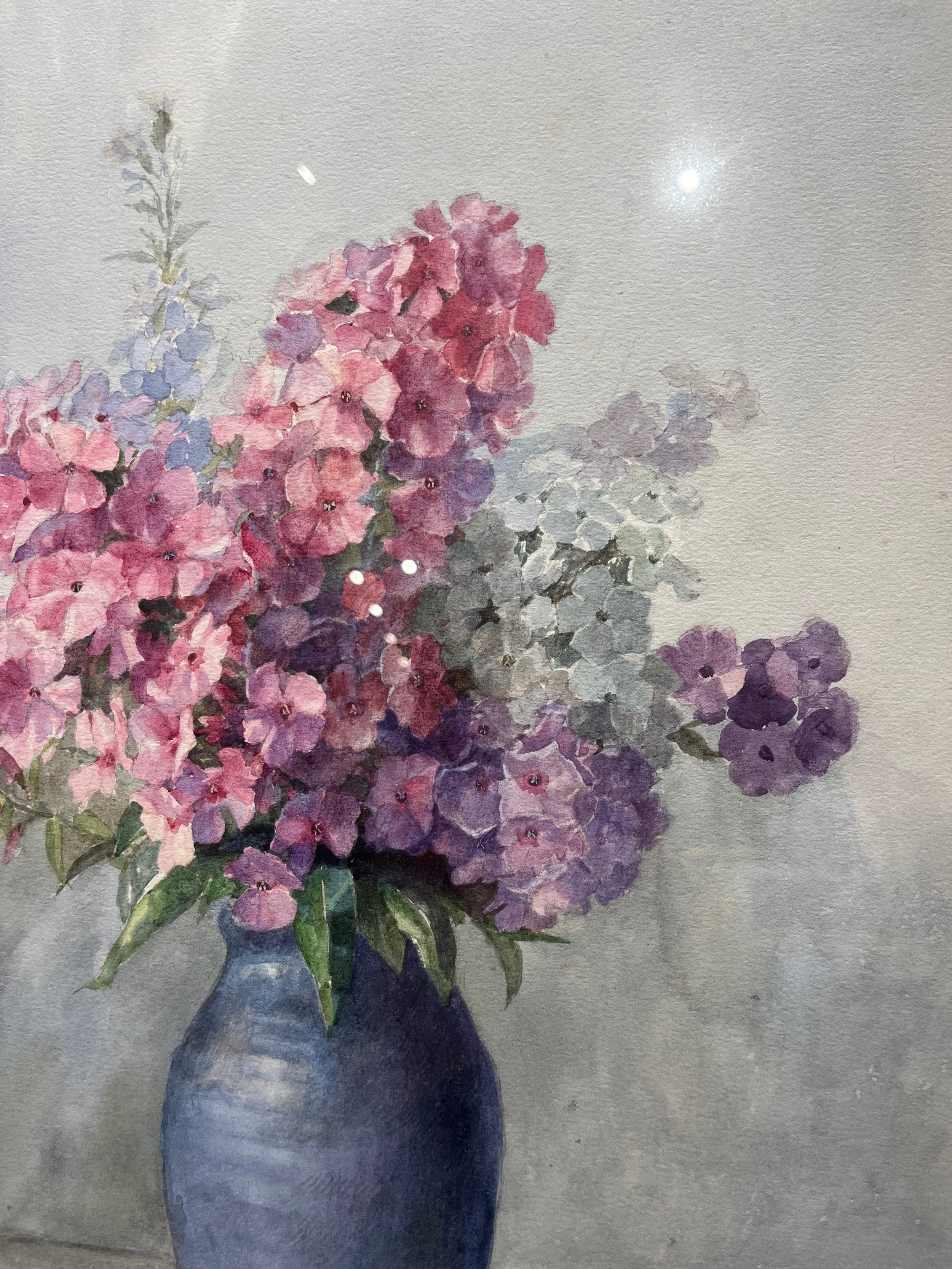 Artwork by Elizabeth King, Phlox, Made of Watercolour on paper