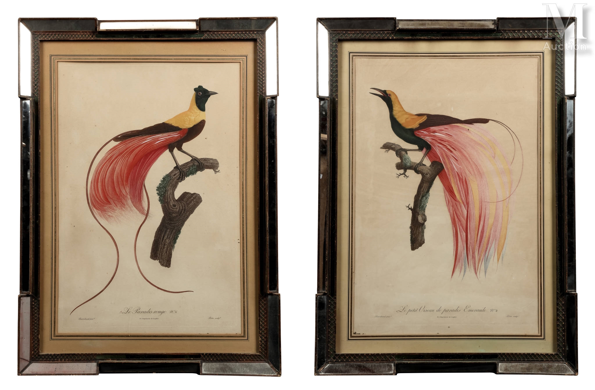 Jeu Ancien 'Le Petit Oiseau Infaillible' – Rare Jeu De Société 1900 Style Saussine
