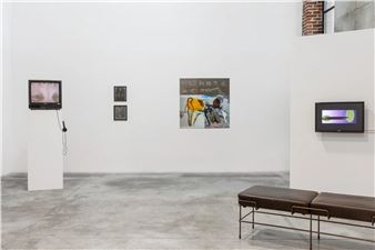 Seduction of a Cyborg - Wouters Gallery, Brussels