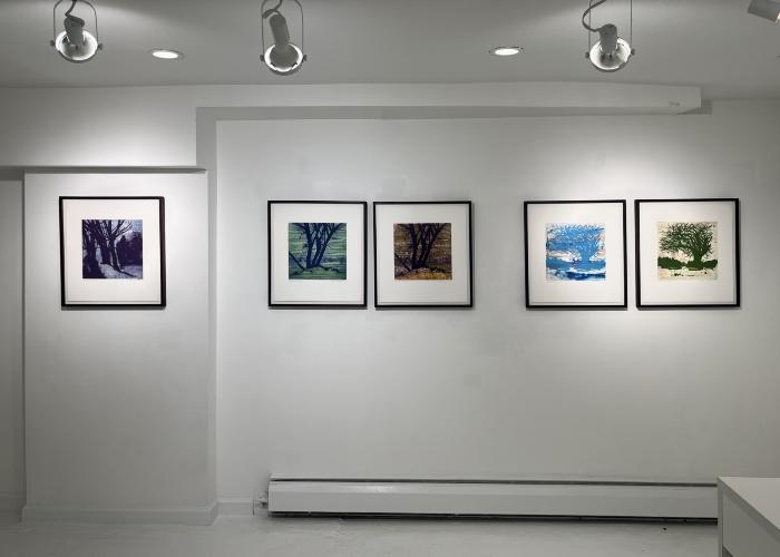 Deborah Freedman: My Apple Tree on Tilly Road at Susan Eley Fine Art