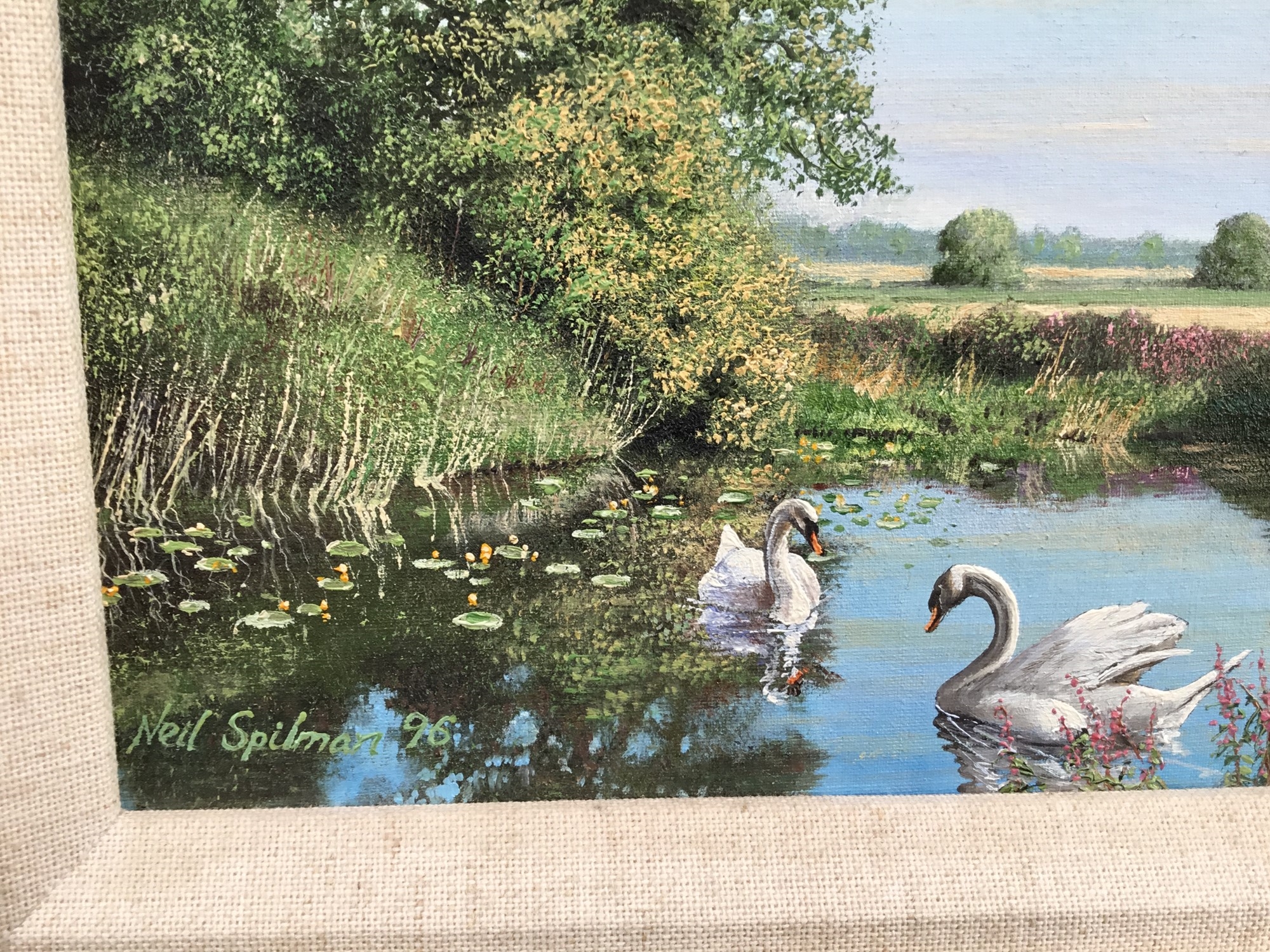 Neil Spilman | swans | MutualArt