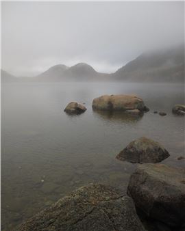 Out & About II - Cove Street Arts