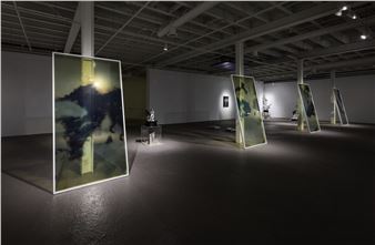 Earthly Visions: Inside The Climate Crisis - Gallery 400