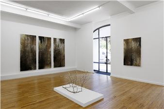 Lionel Sabatté: Dust of the heights - Ceysson & Bénétière, Paris