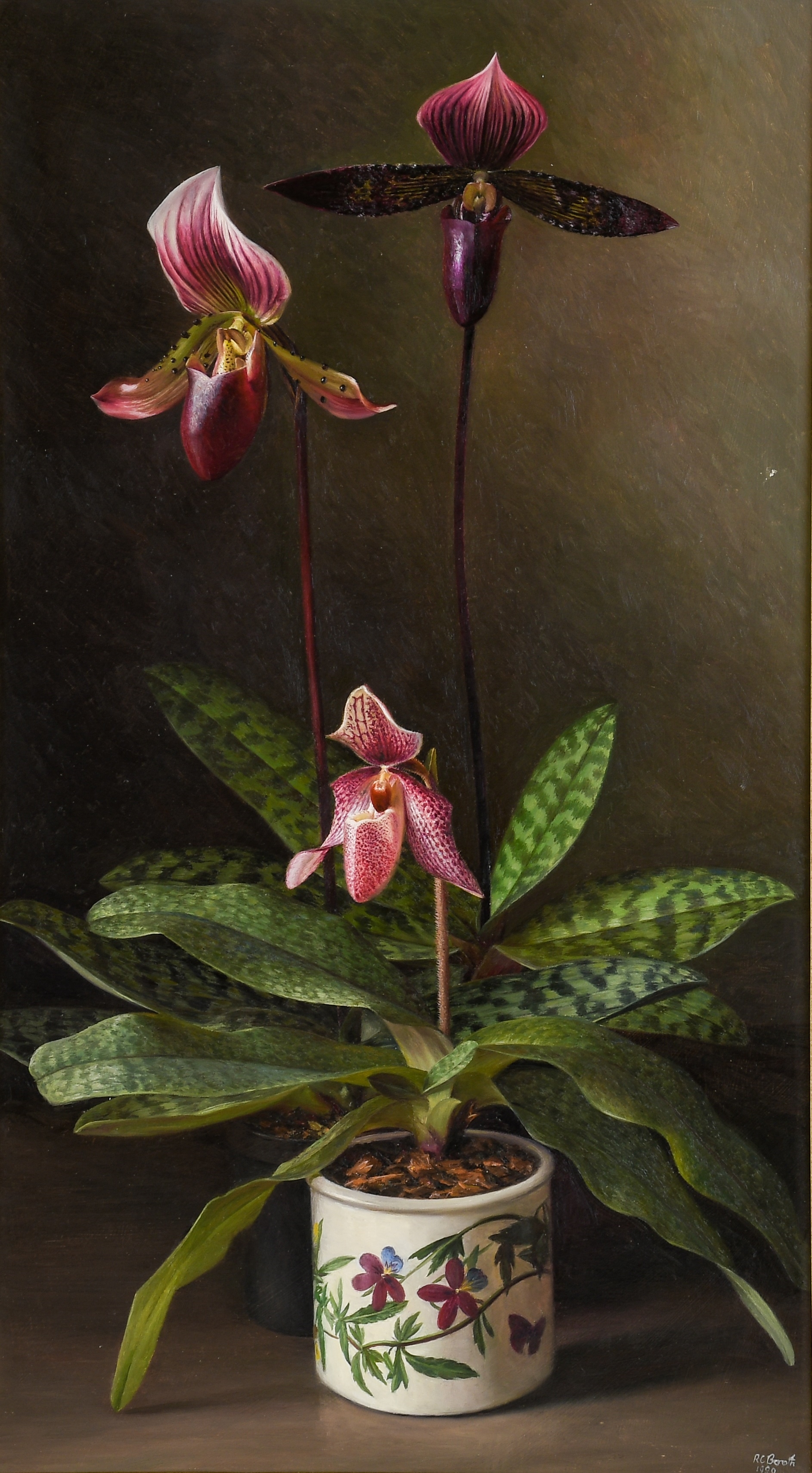“The Slipper Orchids” by Raymond Booth, 1989