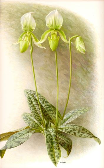 Raymond Booth | “Rhododendron” (1997) | MutualArt