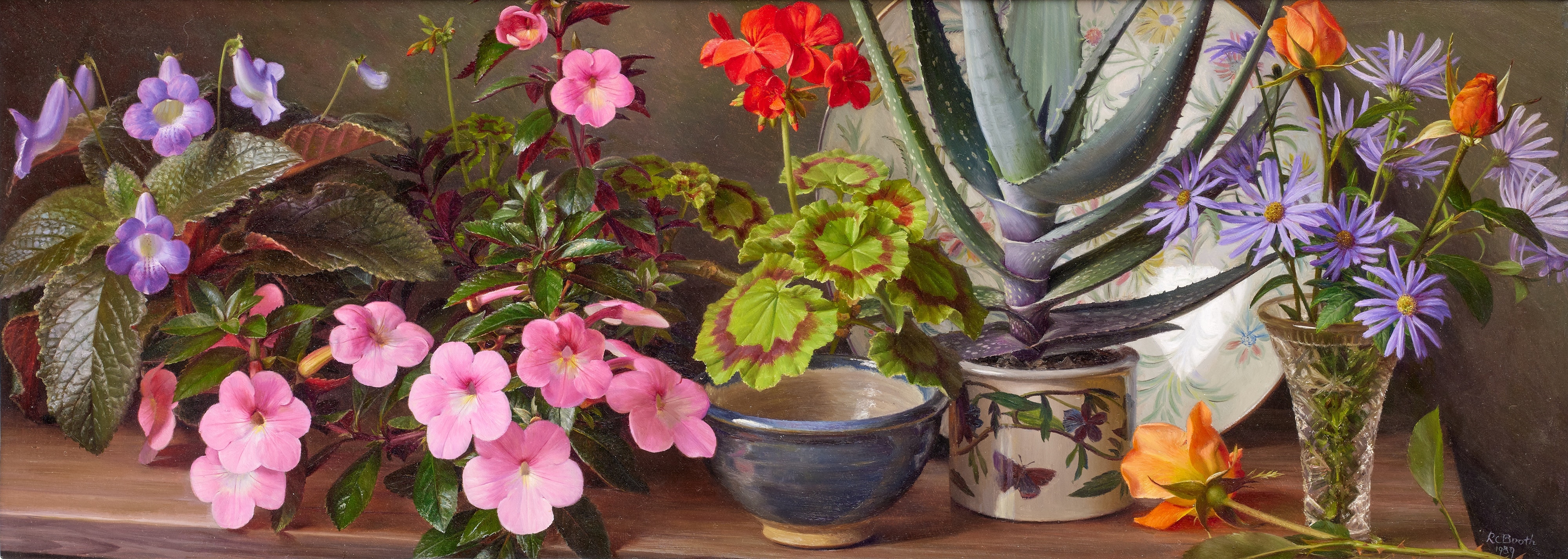 Raymond Booth | “A Shelf of Plants” (1989) | MutualArt