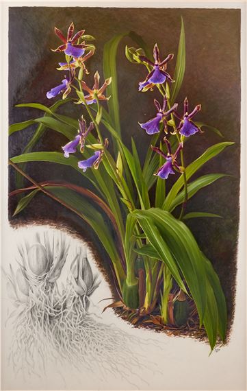 Raymond Booth | “Rhododendron” (1997) | MutualArt