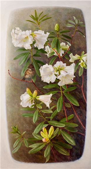 Raymond Booth | RhododendronLindleyi (1994) | MutualArt