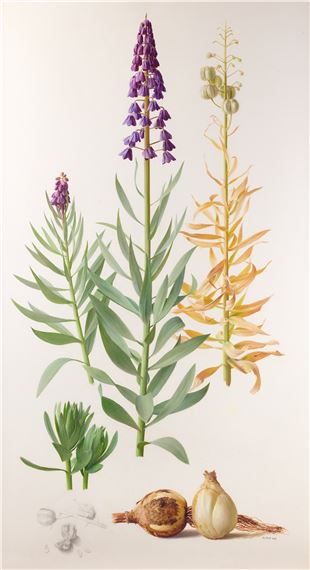 Raymond Booth | “Rhododendron” (1997) | MutualArt