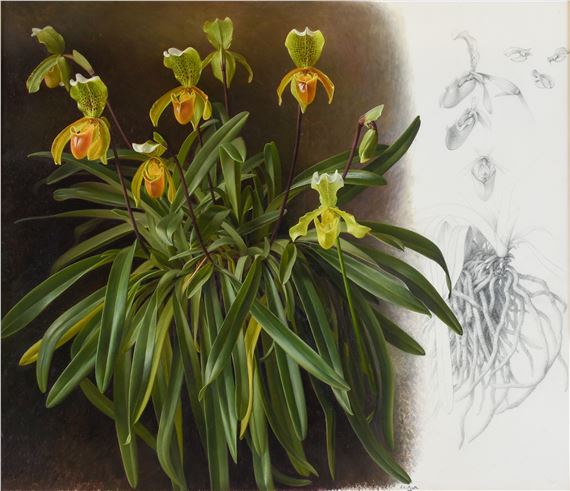 Raymond Booth | “Rhododendron” (1997) | MutualArt