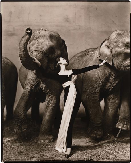 Dovima with elephants, Evening dress by Dior, Cirque d'Hiver, Paris by Richard Avedon, August 1955