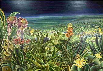 Bas Kloens - Bas Kloens